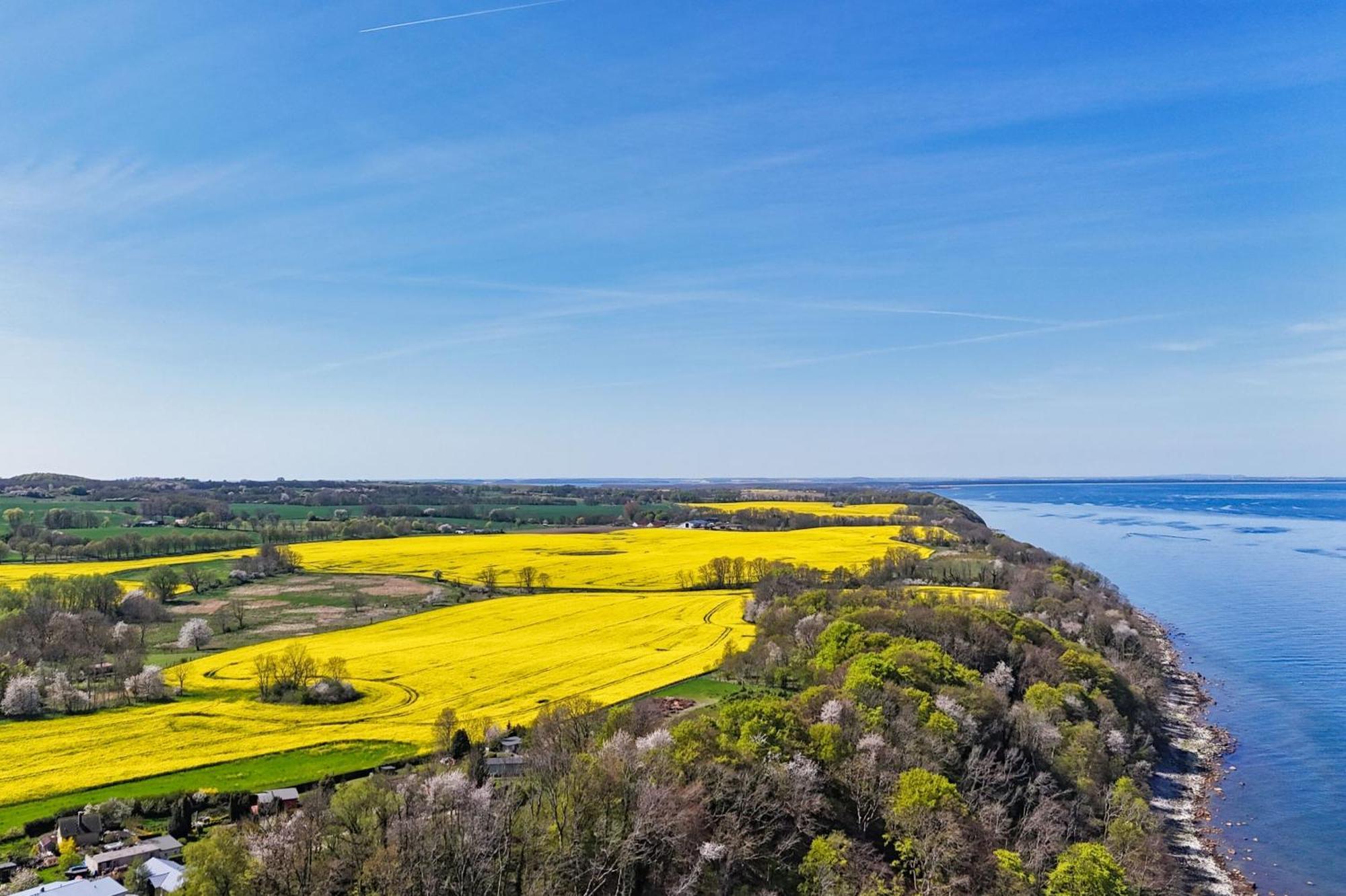 Ferienwohnung Mit Traumhaftem Meerblick - Haus Am Meer Fewo 10 Lohme Exterior foto
